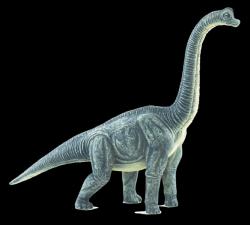 Mojo Brachiosaurus (387212)