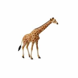 CollectA Girafa XL (88534)