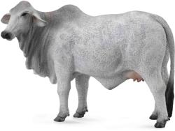 CollectA Vaca Brahman (88580) Figurina