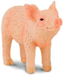 CollectA Purcel Adulmecand (88344) Figurina