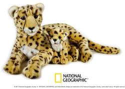 National Geographic Ghepard Cu Pui V770765