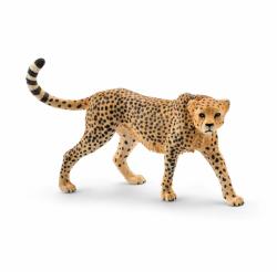 Schleich Ghepard Femela (14746)