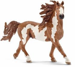 Schleich Armasar Pinto (13794) Figurina