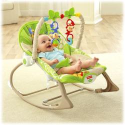 Mattel Fisher-Price Infant to Toddler 2in1