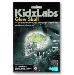 4M Kidz Labs - Glow Skull világító koponya készlet (29076)