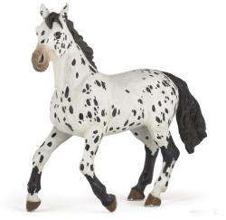 Papo Iapa Appaloosa Neagra P51539