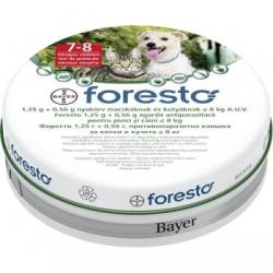 Bayer Zgarda Foresto 38 cm - pentru caini sub 8 kg si pisici