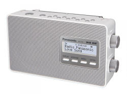 Panasonic RF-D 10 EG-W
