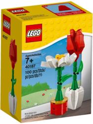 LEGO® Seasonal - Virágok (40187)
