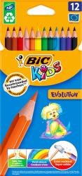 BIC Creioane colorate 12 culori Bic Evolution 60963 (CRECOBIC60963)