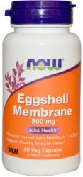 NOW NOW Eggshell Membrane 500mg 60v kapszula