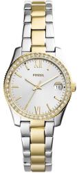 Fossil ES4319