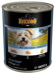 BELCANDO Junior konzerv baromfihús tojással 24 x 800 g