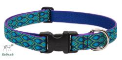 Lupine Pet nyakörv (Rain Song 2, 5 cm széles 41-71 cm) (WLF72453)
