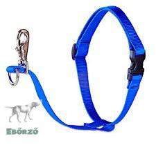 Lupine Pet NO PULL (Kék 2, 5 cm széles 60-96 cm) (LSD17598)