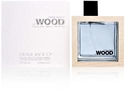 Dsquared2 He Wood Ocean Wet Wood EDT 100 ml