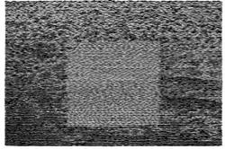 Grouper Grid Of Points - facethemusic - 9 190 Ft
