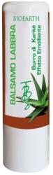 Bioearth Balsam de buze cu unt de shea Bioearth 7-g