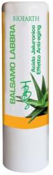 Bioearth Balsam de buze cu acid hialuronic Bioearth 7-g