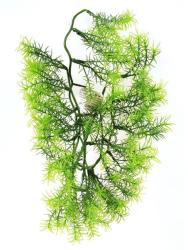 4-Home Floare artificială Asparagus, 40 cm