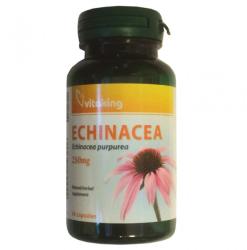 Vitaking Echinacea (bíbor kasvirág kivonat) kapszula 90 db
