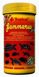 Tropical Gammarus eledel teknősöknek 30 g
