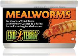 Exo Terra Mealworms Puhára főzött lisztkukacok hüllőknek 34 g