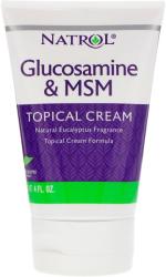 Natrol Glucosamine&Msm 118ml