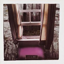 Eric's Trip Forever Again