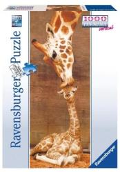 Ravensburger Zsiráfok - Az első puszi 1000 db-os (15115)