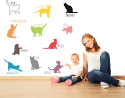 BeKid Sticker decorativ Pisicutele ne invata - 110 x 93 cm