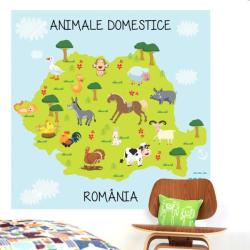 BeKid Fototapet Animale Domestice - 100 x 100 cm
