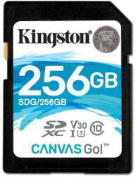 Kingston SDXC Canvas Go! 256GB C10/U3/V30 SDG/256GB