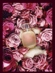 Les Parfums de Rosine Une Folie de Rose Extrait EDP 50 ml