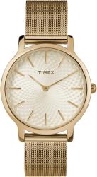 Timex TW2R36100