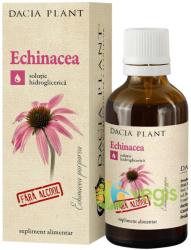 DACIA PLANT Tinctura De Echinacea Fara Alcool 50ml