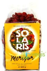 SOLARIS Merisor 300g