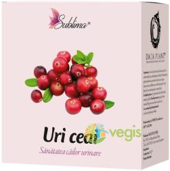 DACIA PLANT Ceai Uri (Urinar) 50g
