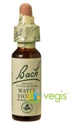 Bach Originals Flower Remedies Bach 34 Water Violet (Viorea de Balta) Picaturi 20ml