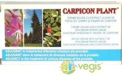 Elzin Plant Carpicon Plant Supozitoare cu Extract Uleios de Pufulita, Ghimpe si Rasina de Conifere 10buc