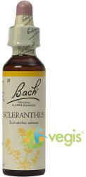 Bach Originals Flower Remedies Bach 28 Scleranthus (Porumbar Salbatic) Picaturi 20ml