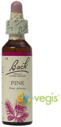 Bach Originals Flower Remedies Bach 24 Pine (Pin) Picaturi 20ml