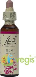 Bach Originals Flower Remedies Bach 11 Elm (Ulm) Picaturi 20ml