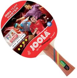 Tactic Sport Joola Master pingpong ütő konkáv nyél, 4 csillagos