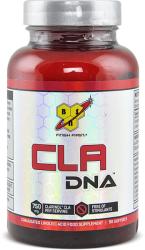 BSN CLA DNA 90 caps