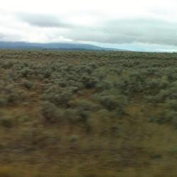 Caroline Says 50.000. 000. . -download-