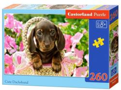 Castorland Cuki tacskó 260 db-os (B-27514)