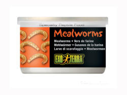 Hagen Exo Terra Hrana Meniu Pentru Reptile Mealworms 34 g