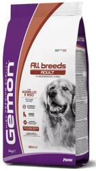 Gemon All Breeds Adult with Lamb and Rice száraz kutyatáp 20 kg