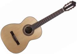 Strunal Schönbach 4655 4/4